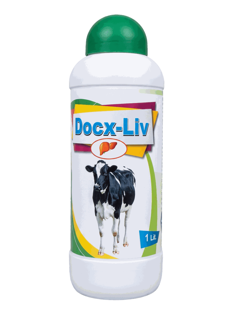 Docx-Liv