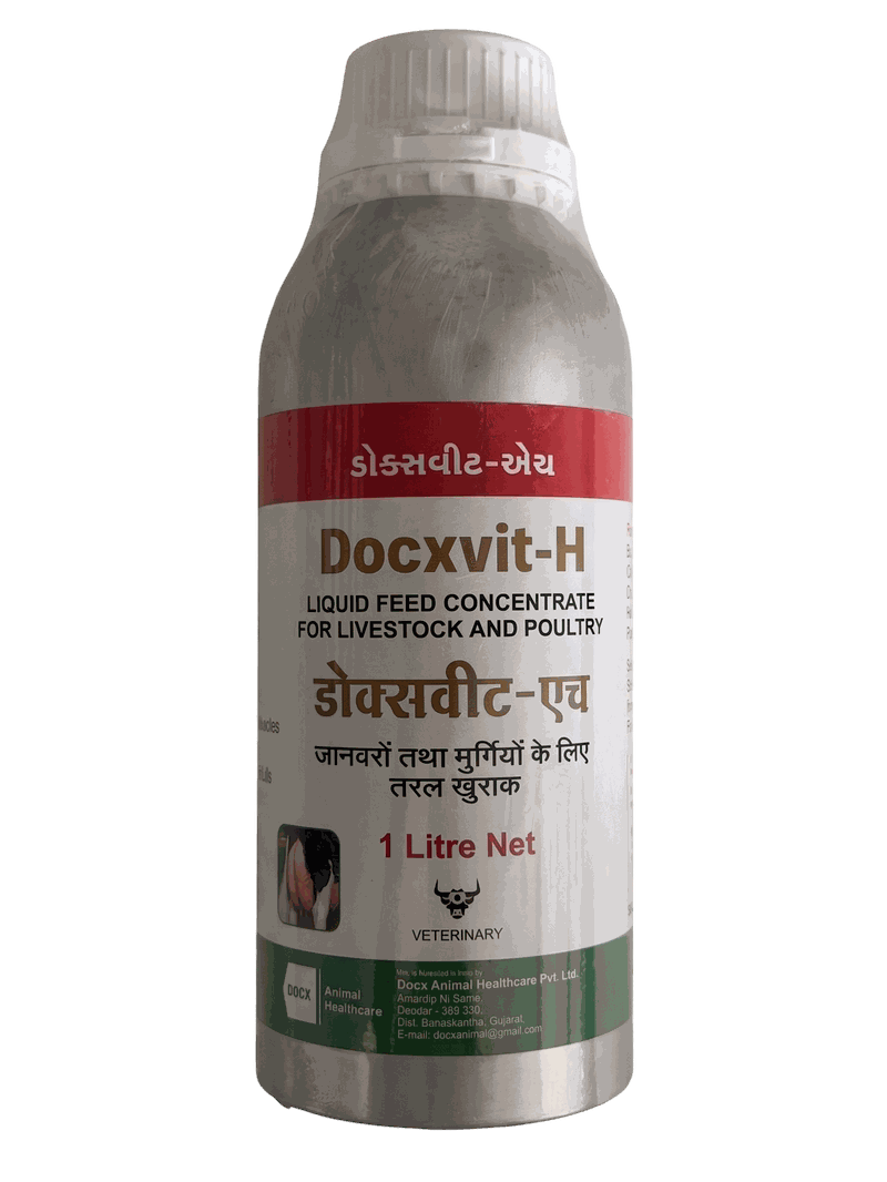 Docxvit-H