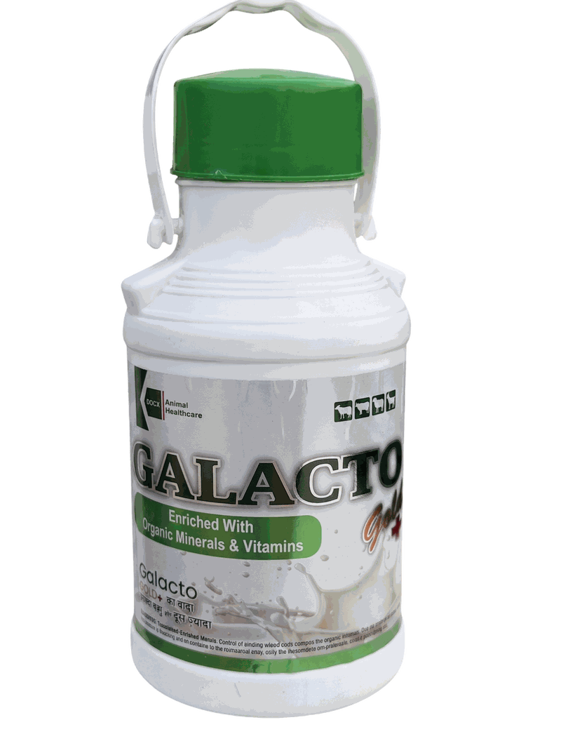 Galacto Gold Plus